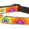 Collars, Leads & Accessories earthdog | Zander-1 Collection