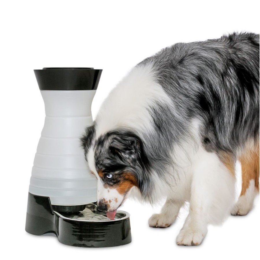 Bowls & Feeding Supplies Drinkwell® by PetSafe® | Healthy Pet Water Stations