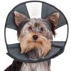 Health & Safety ZenPet | Zen Cone - Soft Recovery Collar