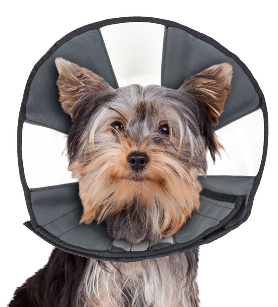 Health & Safety ZenPet | Zen Cone - Soft Recovery Collar