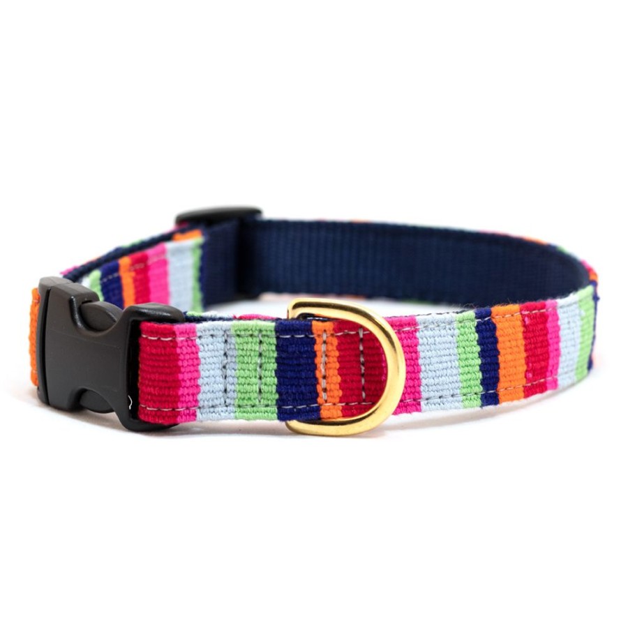 Collars, Leads & Accessories a tail we could wag | At The Beach Maui Collars & Leashes