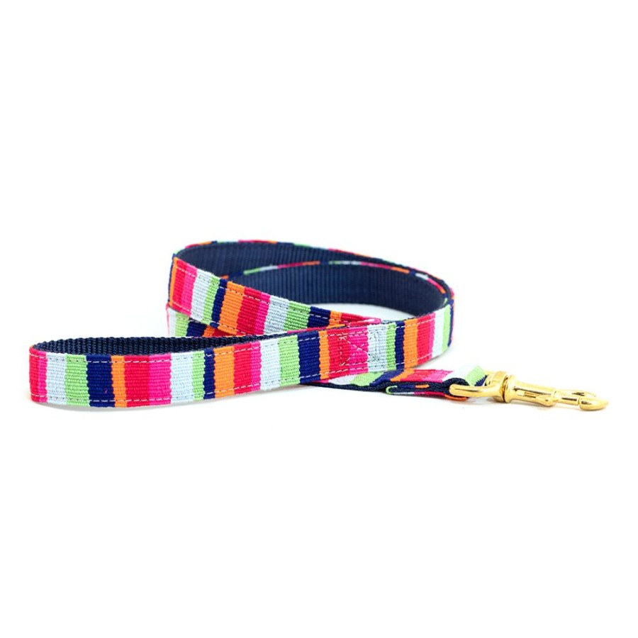 Collars, Leads & Accessories a tail we could wag | At The Beach Maui Collars & Leashes