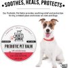 Health & Safety Skout’s Honor | Skouts Honor Dog Prebiotic Paw Balm 2Oz