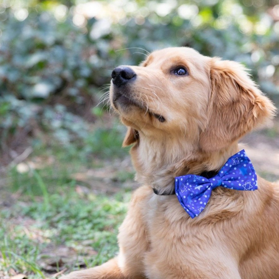 Special Occasion & Holiday Huxley & Kent® | Hanukkah Stars & Dots Bow Tie