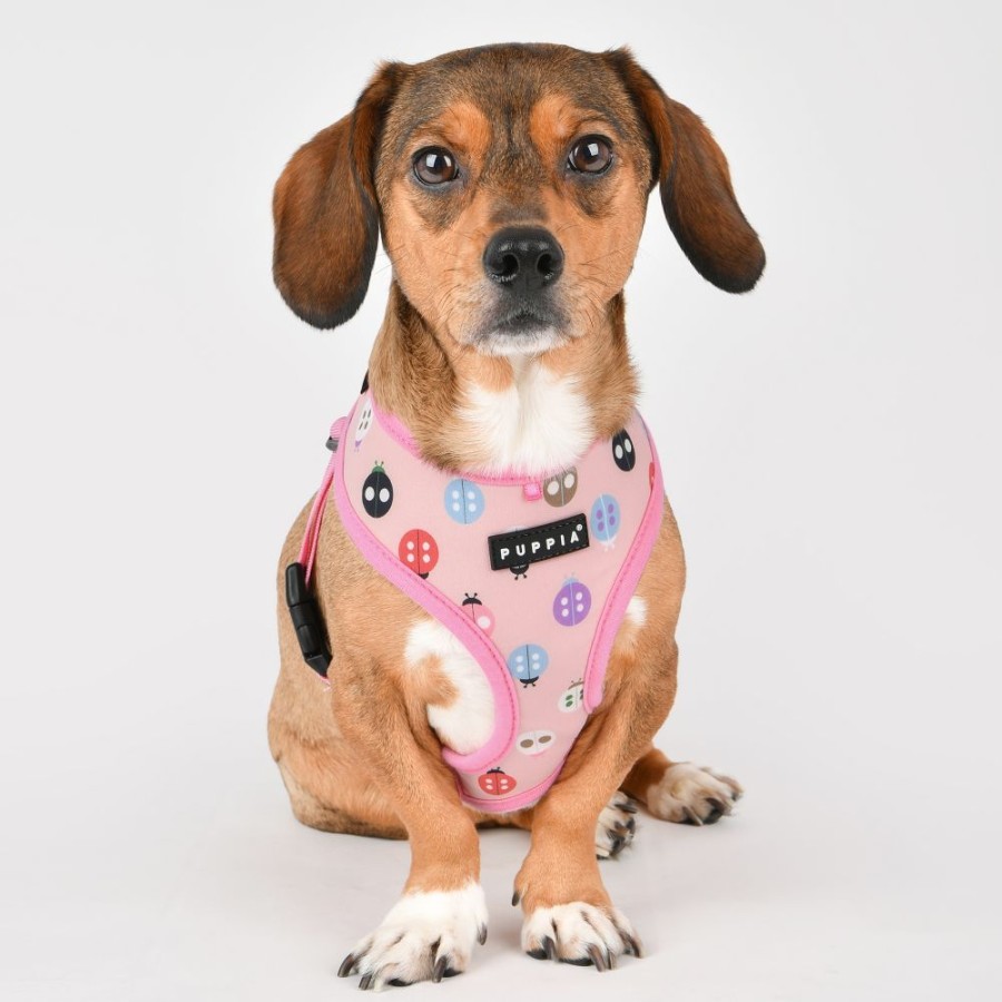 Harnesses Puppia® | Lady Beetle Harness A By Puppia®