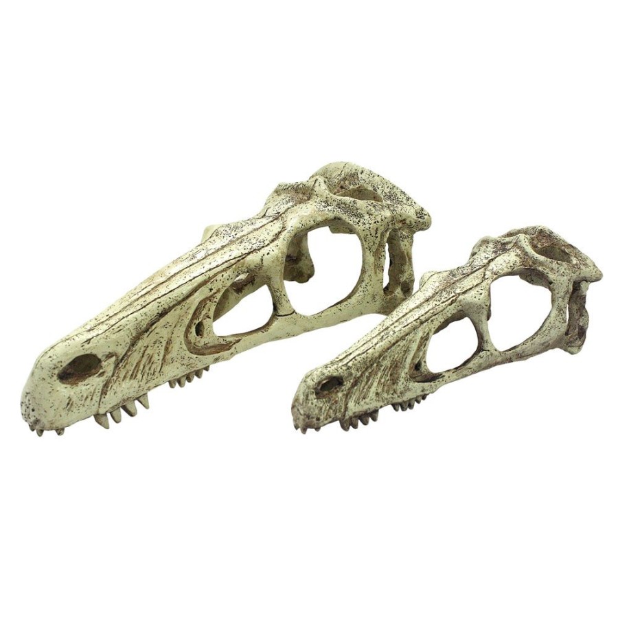 For Cats & Other Critters Komodo | Komodo Raptor Skull