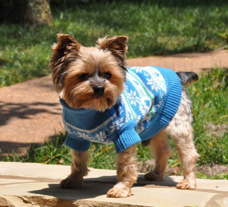 Pet Apparel (Continued) Doggie Design, Inc. | 100% Combed Cotton Snowflake And Hearts Dog Sweater - Blue