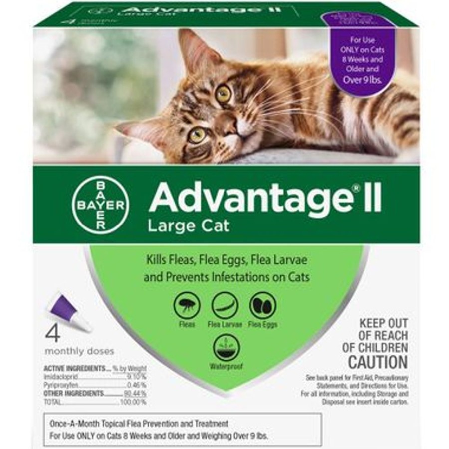 Grooming & Shampoos Bayer | Advantage Ii Flea Control Large Cat (Over 9 Lbs.) - 4 Month