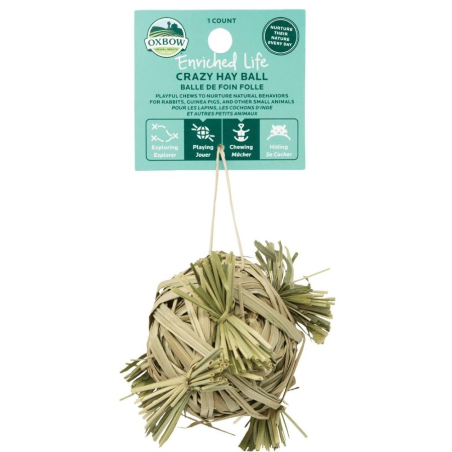 For Cats & Other Critters Oxbow | Oxbow Small Animal Crazy Hay Ball