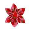 Collars, Leads & Accessories Huxley & Kent® | Strawberries Pinwheel