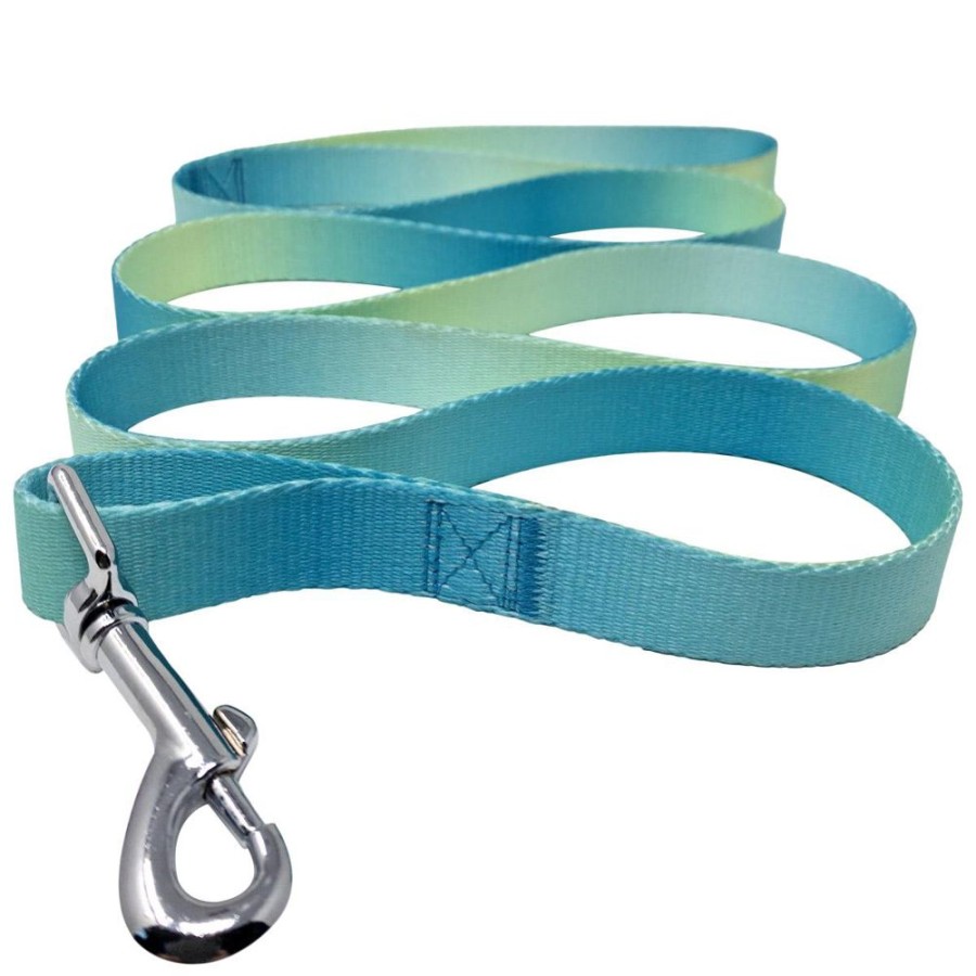 Travel Doggie Design, Inc. | American River Ombre Leash - Aruba Blue