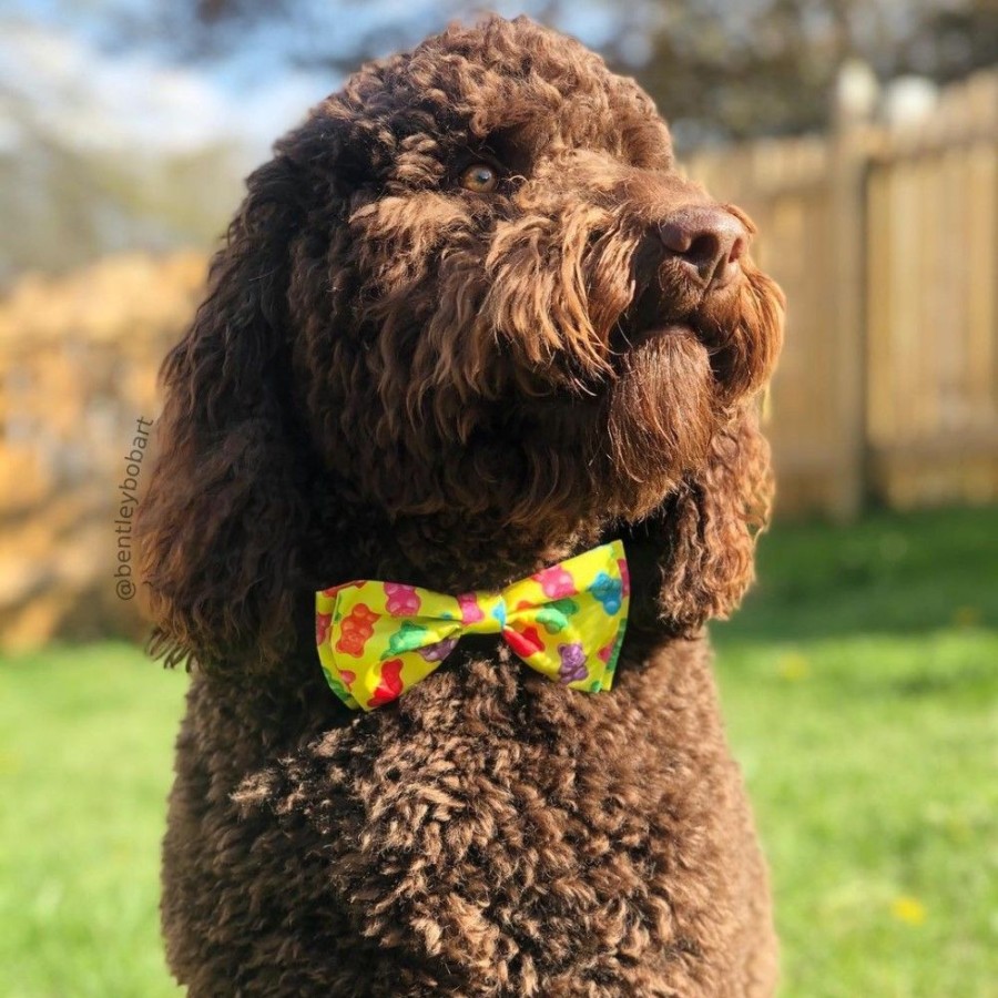 Collars, Leads & Accessories Huxley & Kent® | Gummy Bears Bow Tie