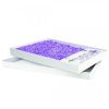 For Cats & Other Critters ScoopFree | Scoopfree Litter Tray Lavender