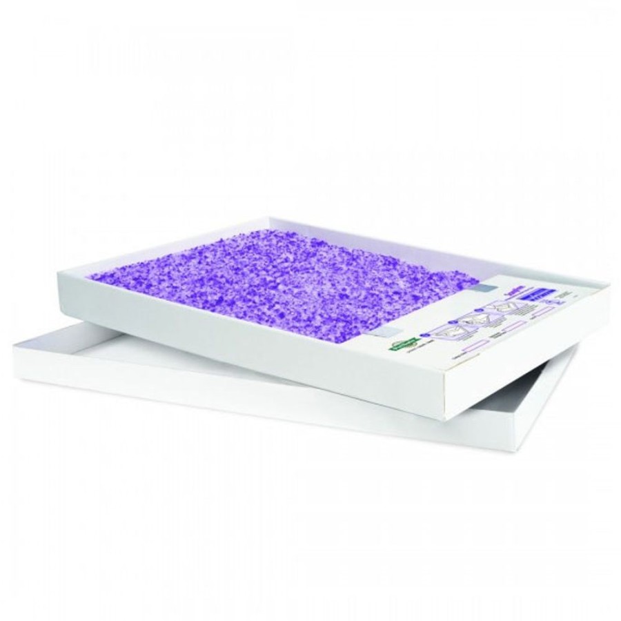 For Cats & Other Critters ScoopFree | Scoopfree Litter Tray Lavender