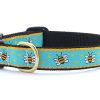 Collars, Leads & Accessories Up Country™ | Bee Dog Collection