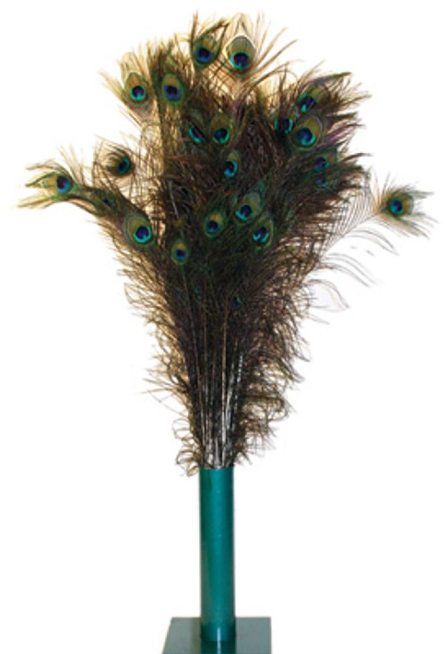 For Cats & Other Critters Vee Enterprises | Natural Peacock Feathers (35-40" )