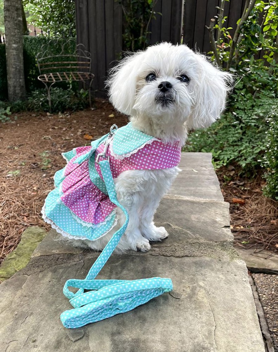 Pet Apparel (Continued) Doggie Design, Inc. | Polka Dot And Lace Dog Dress Set With Leash - Pink And Teal