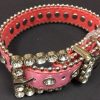 Collars, Leads & Accessories Canine Brands | Bling Dog Collar - Pink