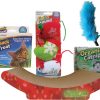 Special Occasion & Holiday Imperial Cat | Holiday Kitten Gift Set