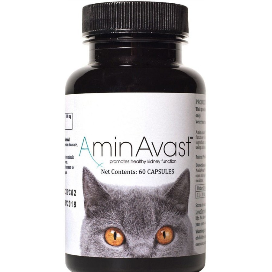 For Cats & Other Critters AminAvast | Aminavast Kidney Support For Cats (60 Capsules)