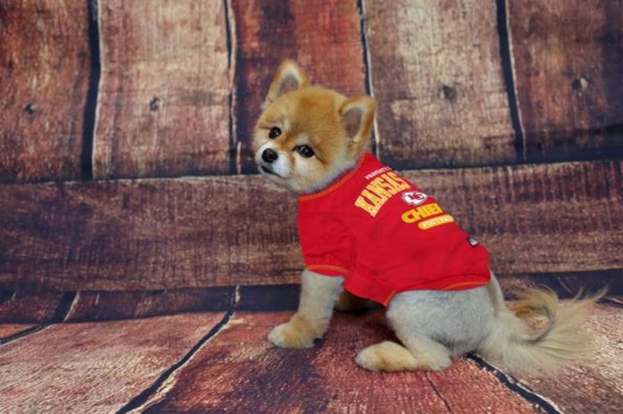 Pet Apparel Pets First, Inc. | Kansas City Chiefs Dog Tee Shirt By Pets First