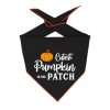 Special Occasion & Holiday Paisley Paw Designs | Halloween Bandana | Halloween Dog Bandana | Pet Bandana | Cutest Pumpkin