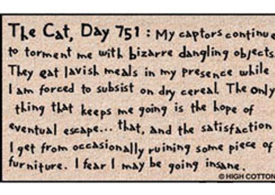 For The Home High Cotton, Inc. | The Cat, Day 751 - Doormat